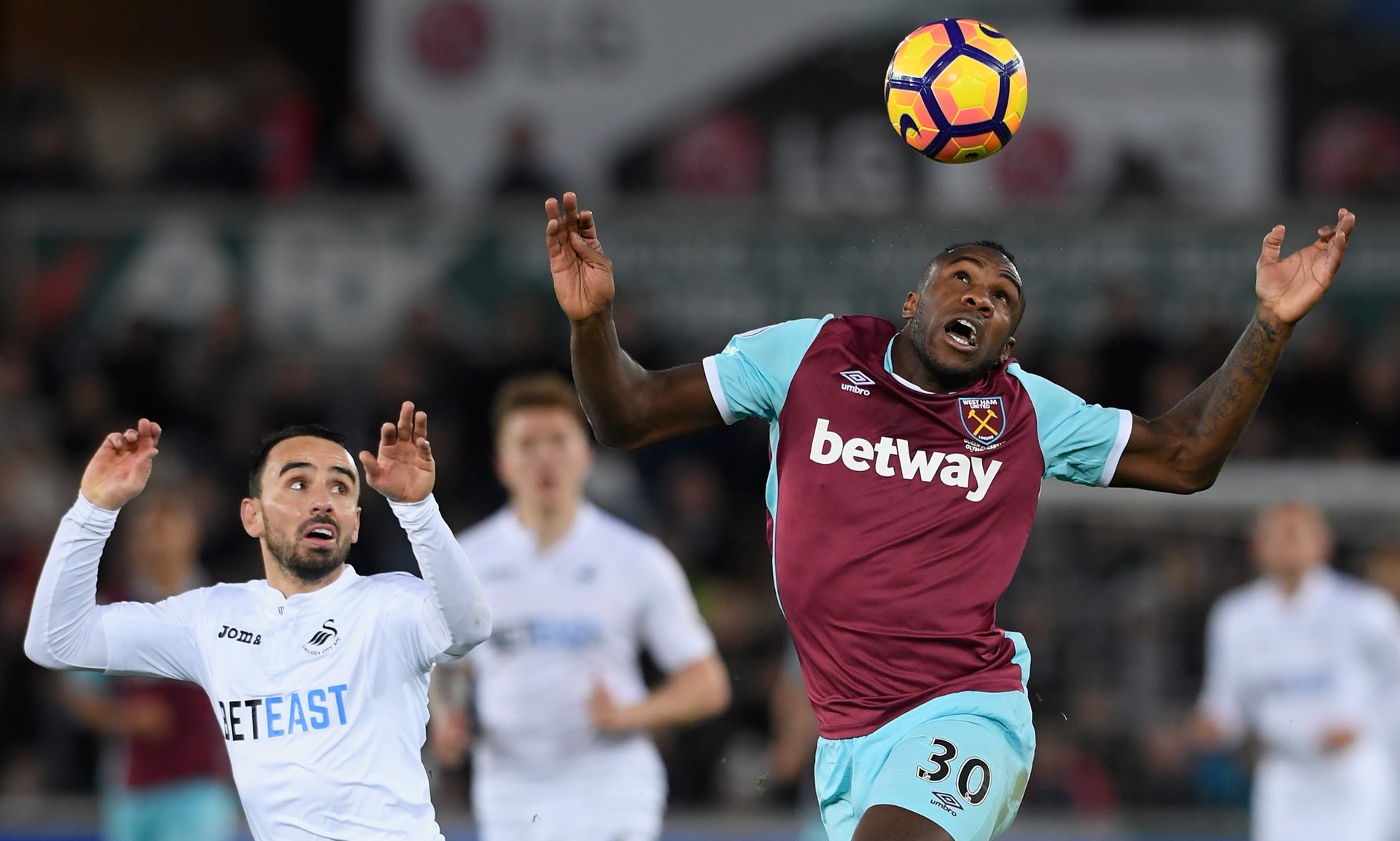 他们正在采 他们正在采