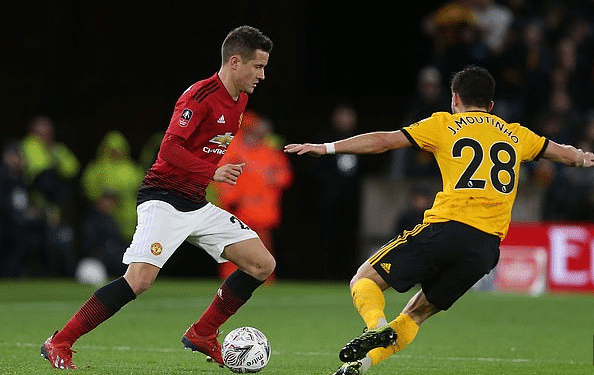 球爱好者 球爱好者